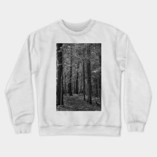 Through the trees Crewneck Sweatshirt